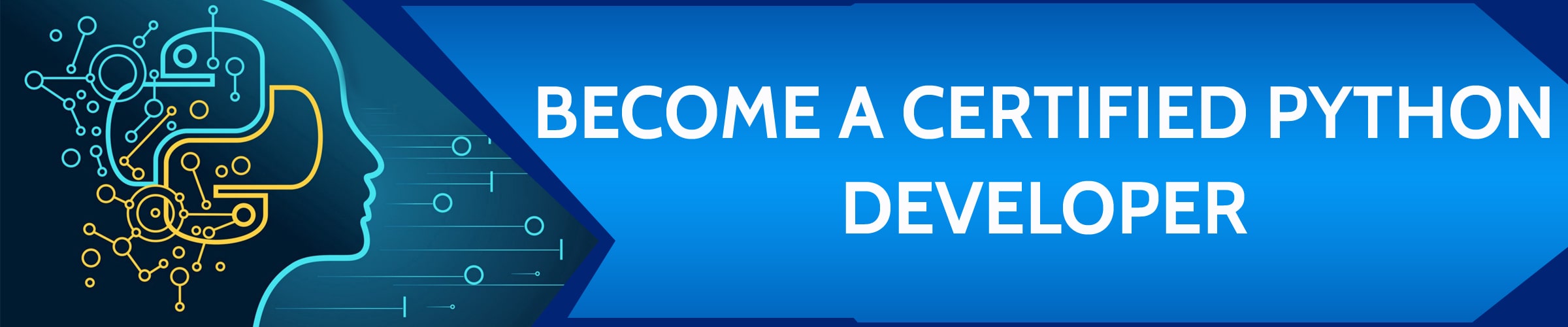 Best Python Training in Honolulu banner Best Python Training in Honolulu