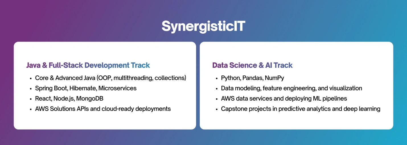 SynergisticIT Job Placement Programs Tracks and Resources